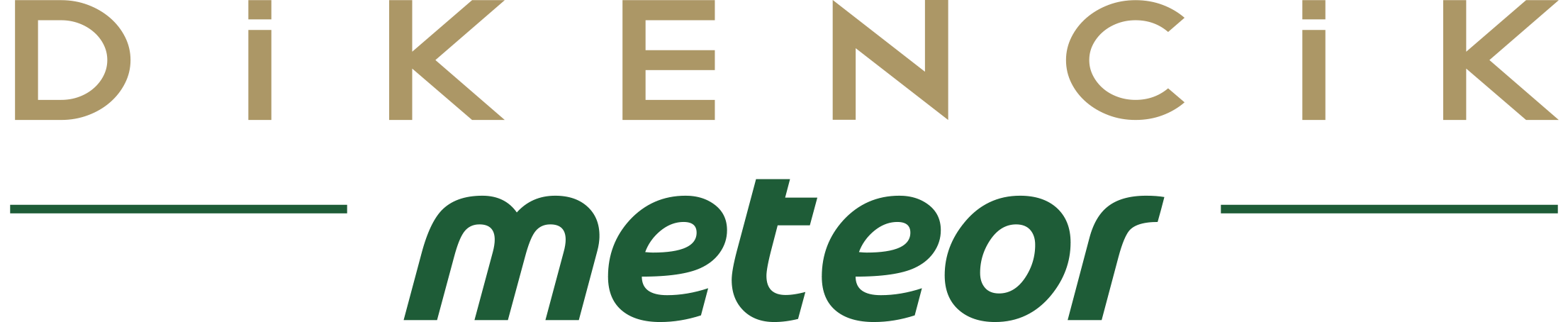 Dikencik Logosu